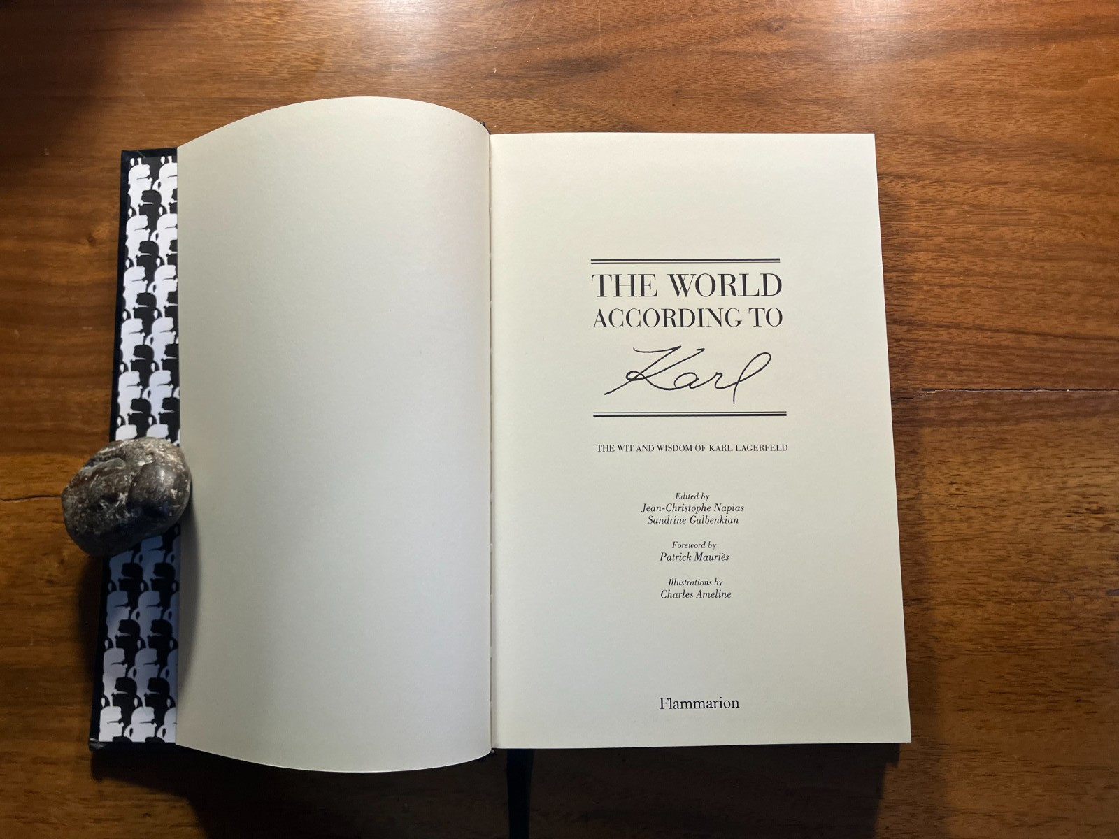 “The World According To Karl Wit And Wisdom Of Karl Lagerfeld” book fashion