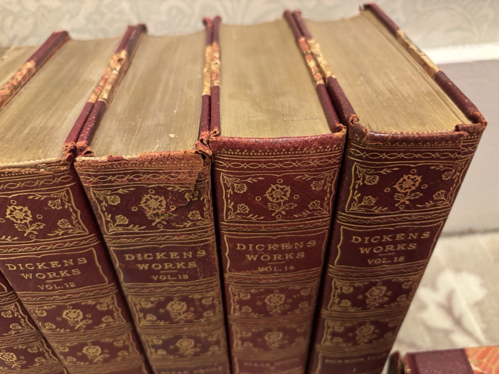 Dickens Works 17 Volumes /Nottingham Society Edition De Luxe /Vintage 4-20