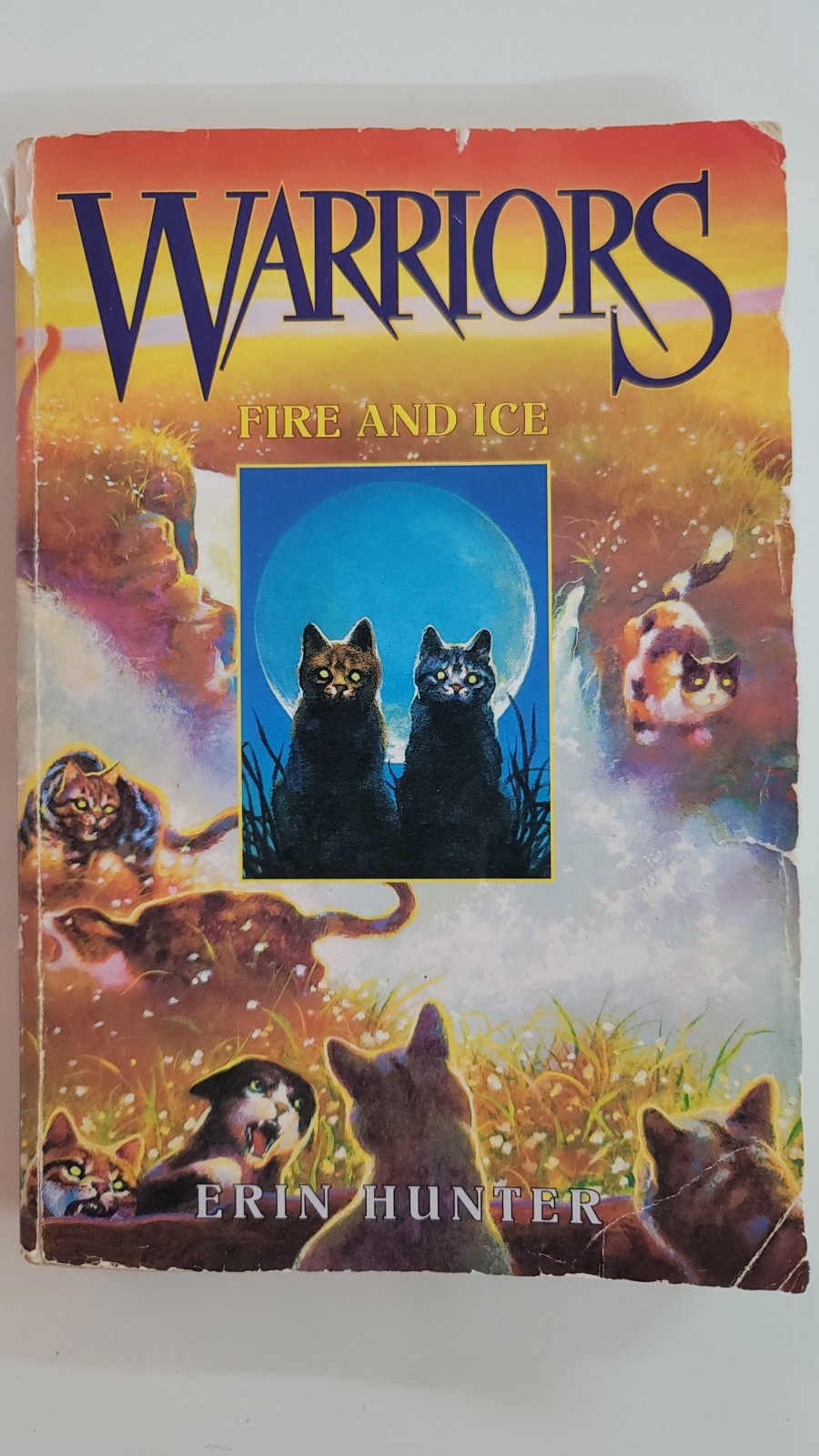 Warriors #2: Fire and Ice by Erin Hunter (2003, Hardcover)