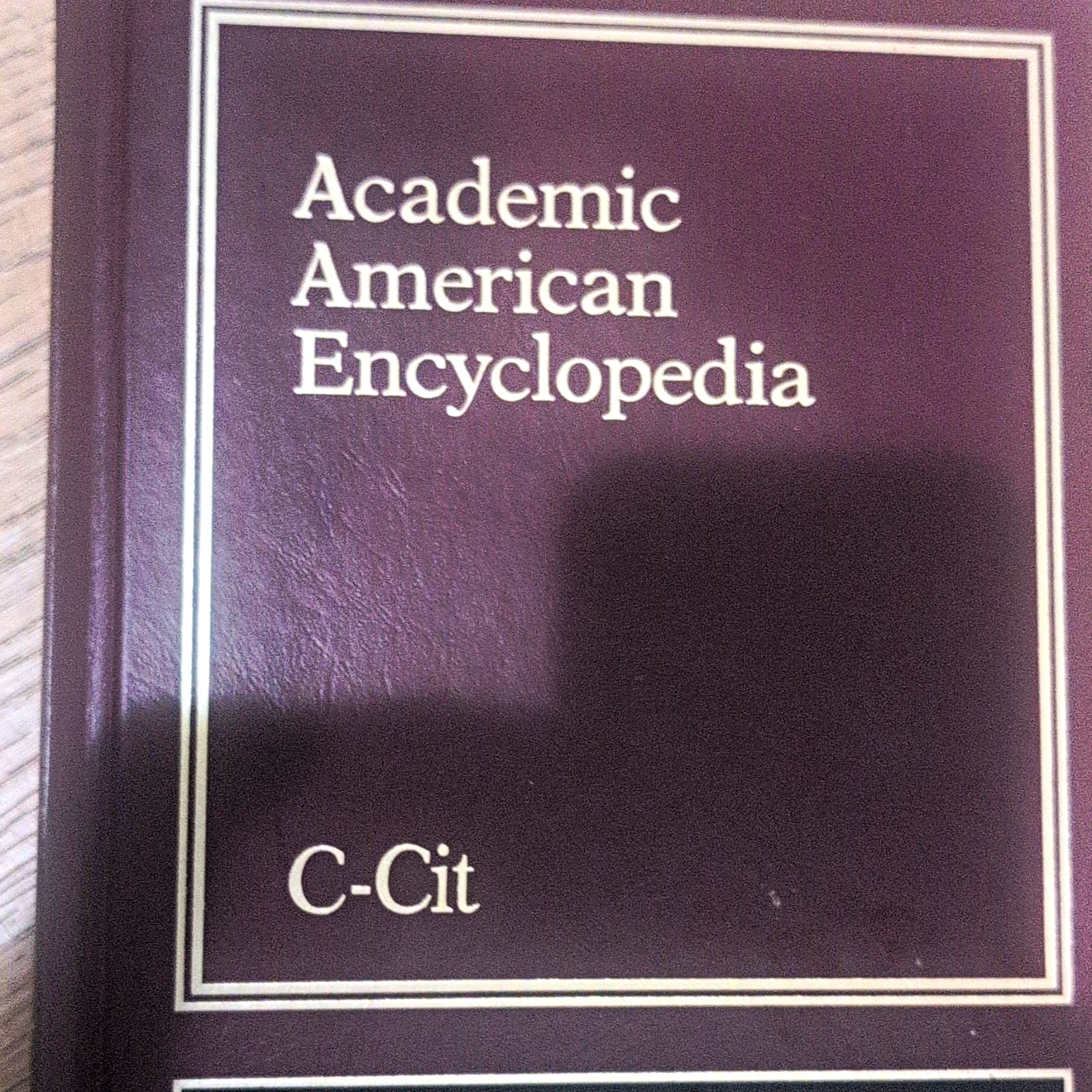 Academic American Encyclopedia I have the entire set very very good condition.