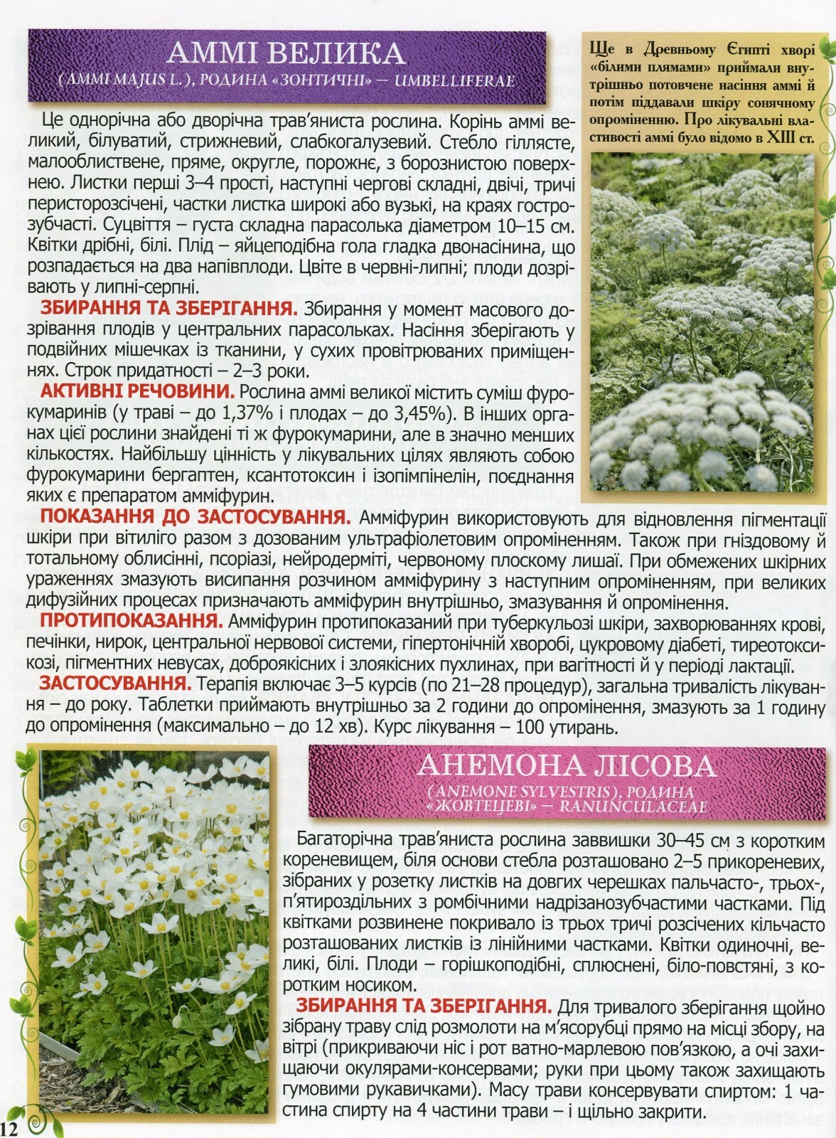 Book In Ukrainian Повний атлас лікарських рослин Author not specified Complete