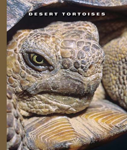 Desert Tortoises (The World of Reptiles, 1256) by Sophie Lockwood