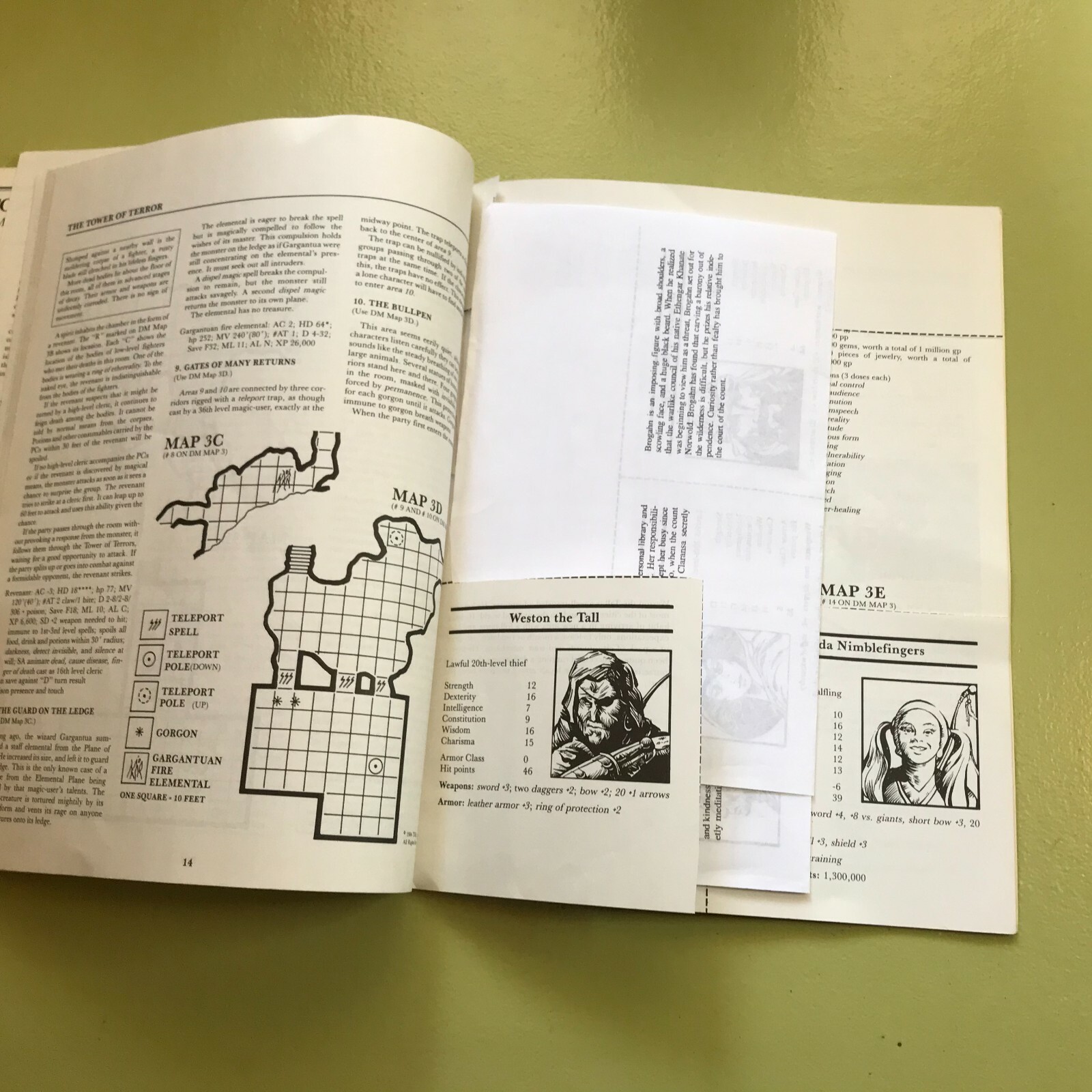 CM3 Sabre River Module Dungeons & Dragons AD&D D&D 9119 1984 niles & nesmith !