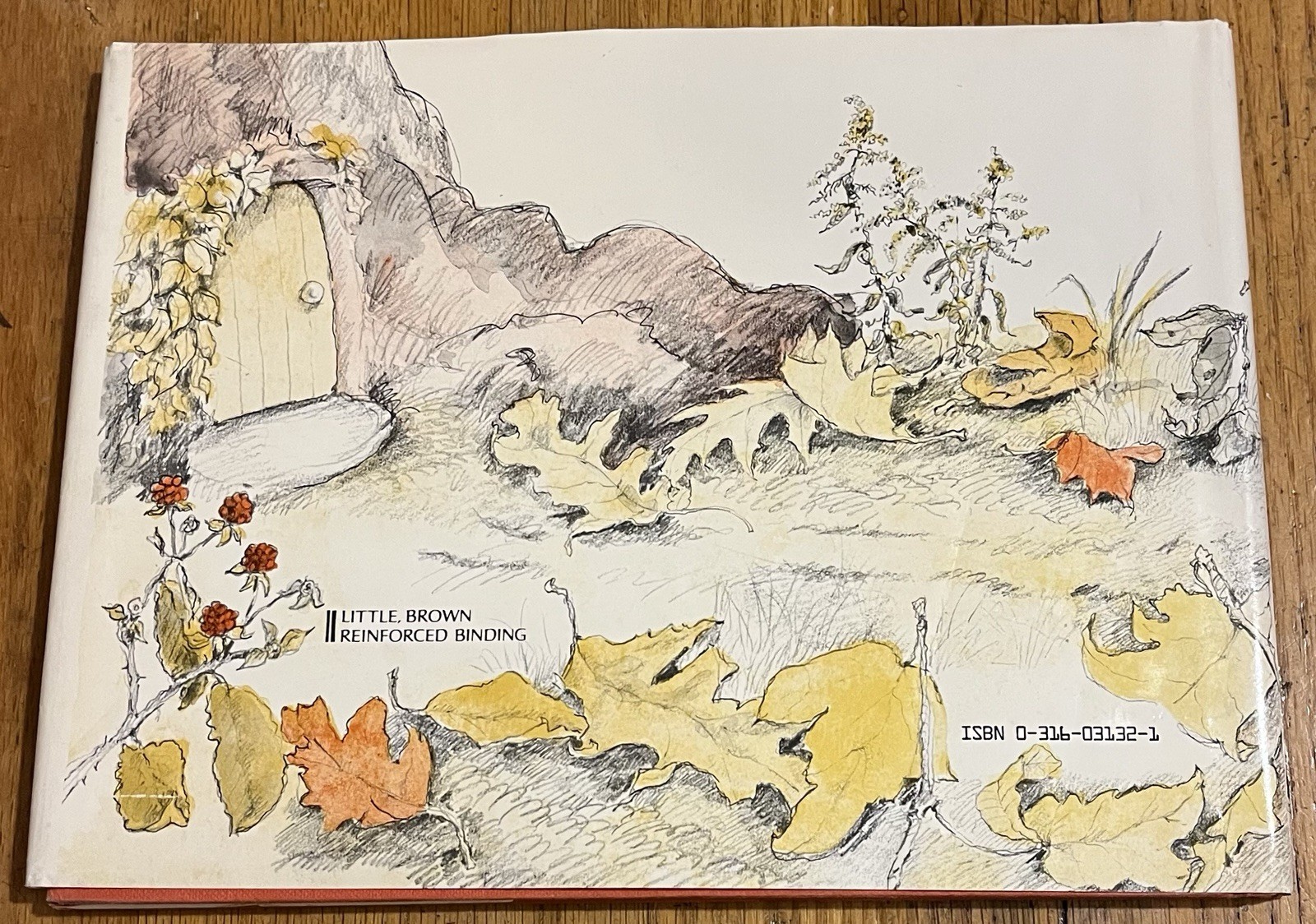 DEAR PHOEBE : by Sue Alexander : illus Eileen Christelow : vintage