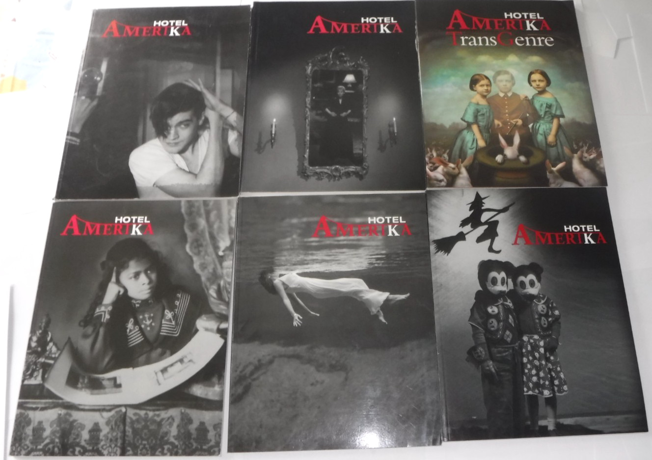 Hotel Amerika Magazine Journal Spring Fall Winter 2009-2014 Vol 7-12 Lot of 6