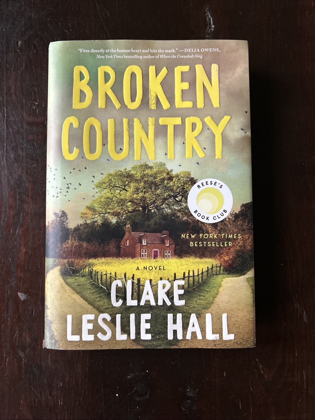 Broken Country (Reese’s Book Club) by Clare Leslie Hall (2025, Hardcover)