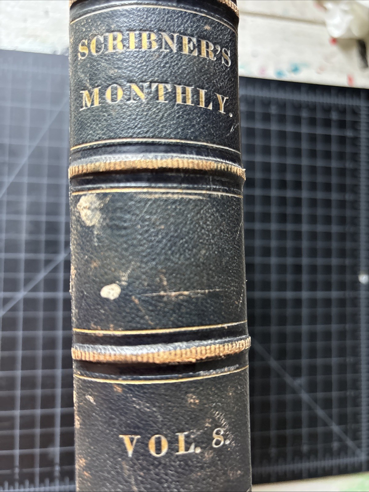 Scribner’s Monthly Illustrated Magazine 1874 Vol 8 Antique Bound May-October HC