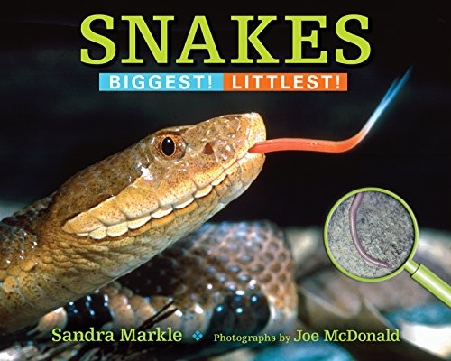 SNAKES: BIGGEST! LITTLEST! By Sandra Markle & Joe Mcdonald **Mint Condition**