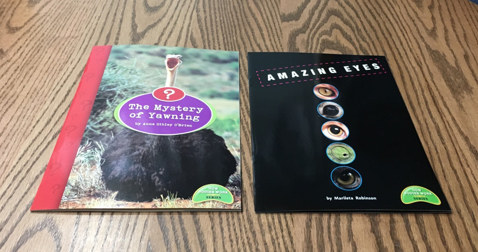 FOUNTAS & PINNELL LEVELED LITERACY INTERVENTION 12 COLOR READERS / RED LEVEL K
