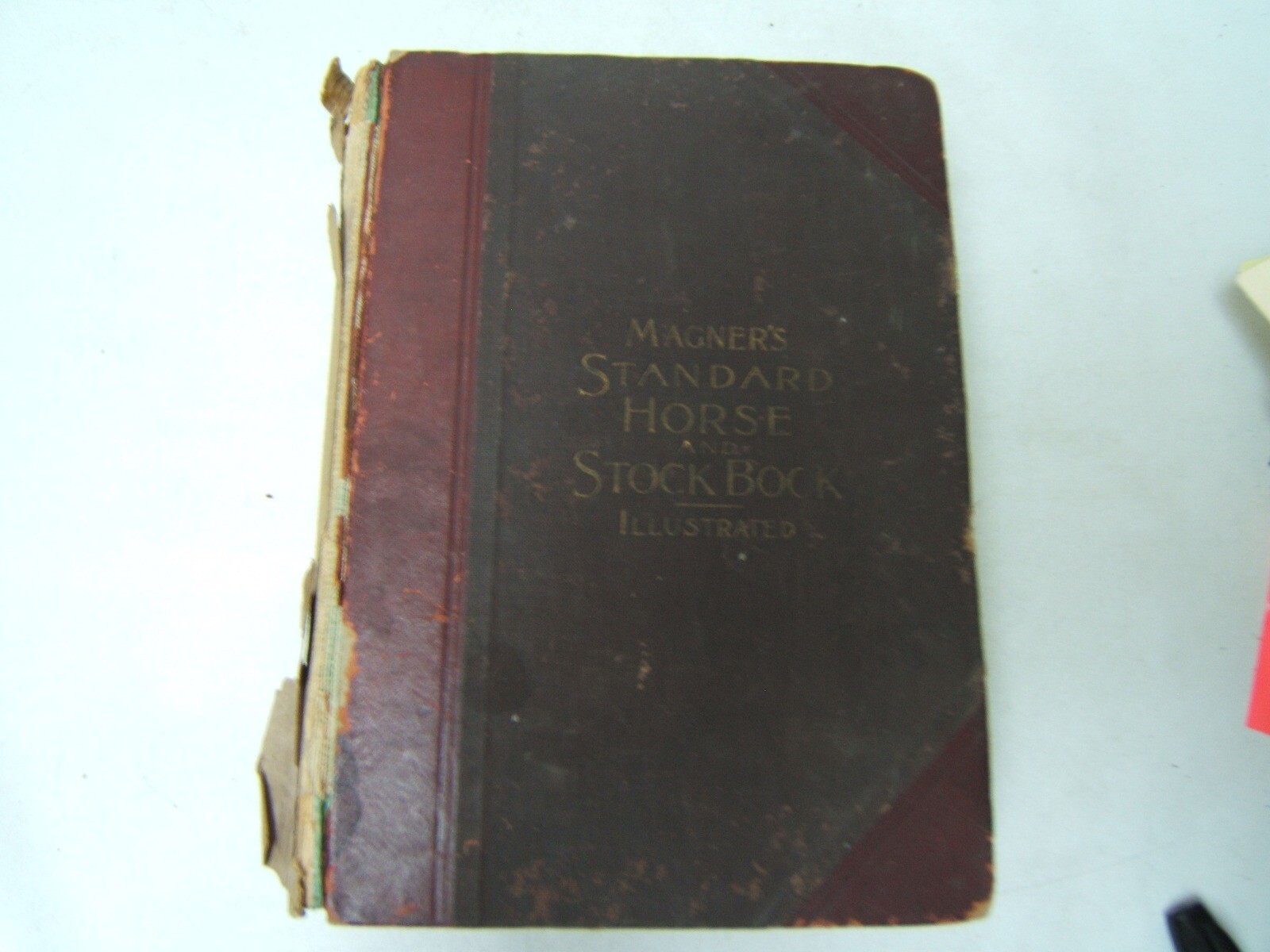 Magner’s Standard Horse and Stock Book 1905 1200 Pages 1756 Illustrations