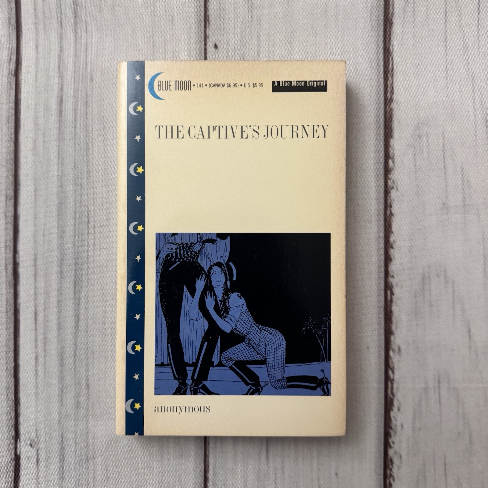 The Captive’s Journey by Anonymous Adult Erotic Smut Paperback 1994 1st Edition