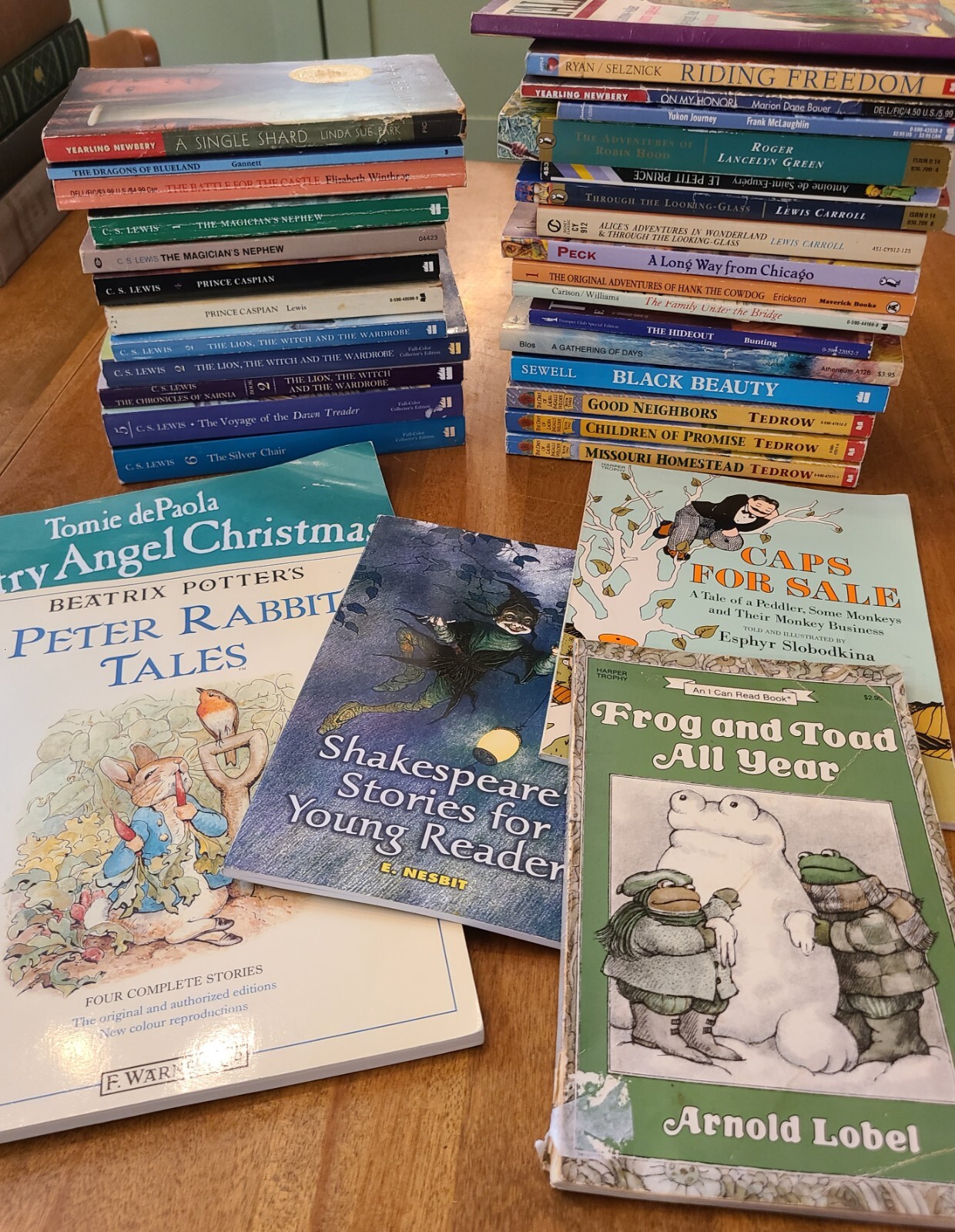 Classical Living Books CHOOSE your LIBRARY Charlotte Mason yr 0-5 Homeschool PB