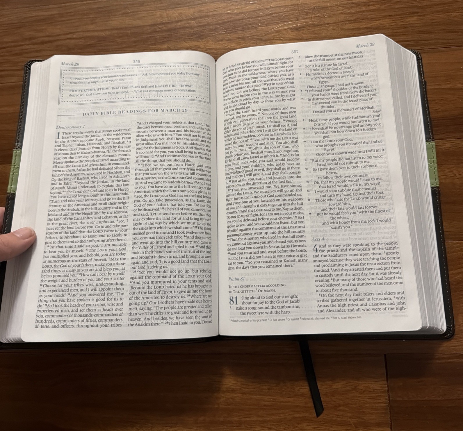 ESV MacArthur Drawing Near Devotional Bible TruTone Charcoal/Sage Trail Design
