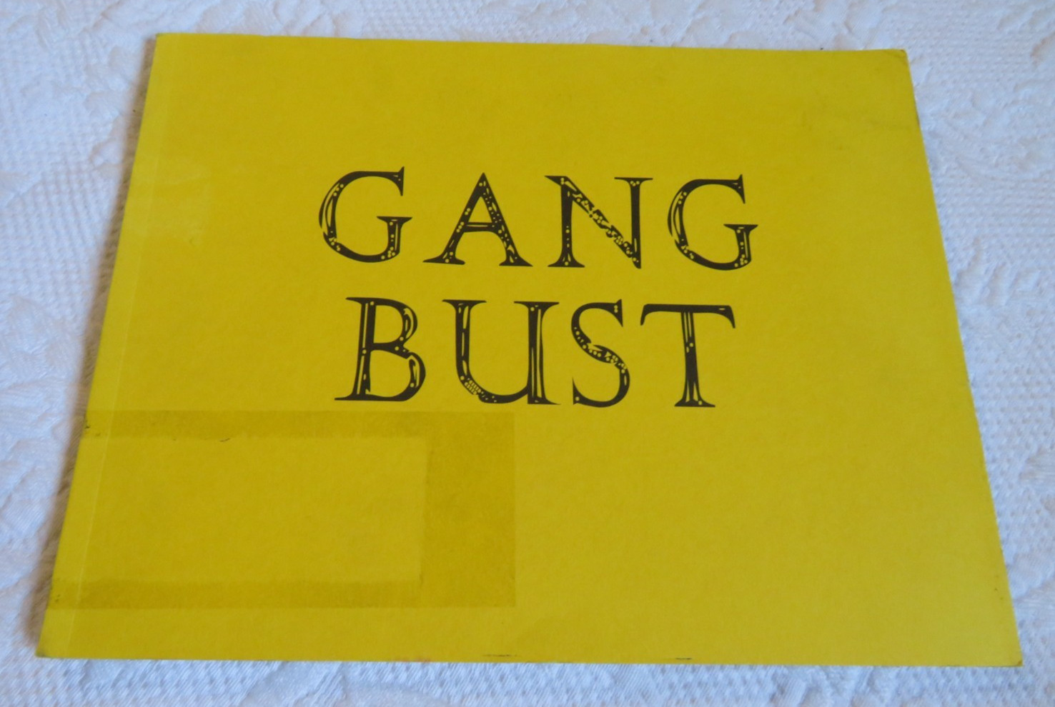 GANG BUST WILLIAM COPLEY & BFBC, INC 2013 SOFT COVER BOOK