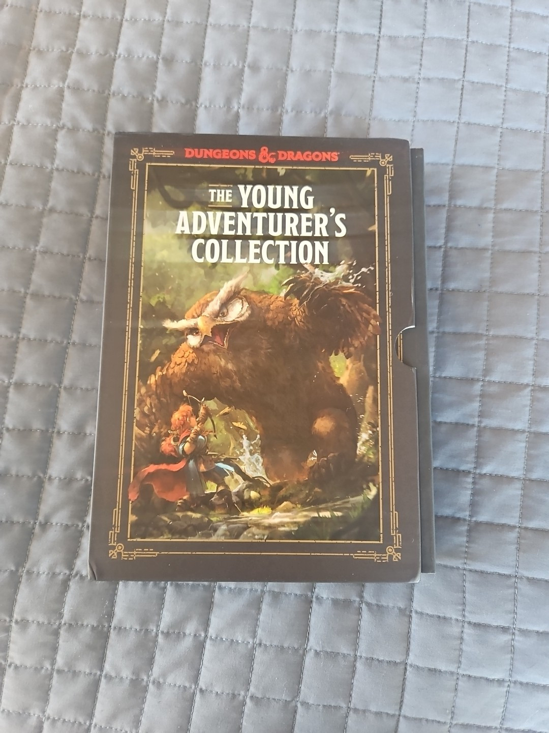The Young Adventurer’s Collection Box Set (Dungeons & Dragons 4-Book Boxed Set