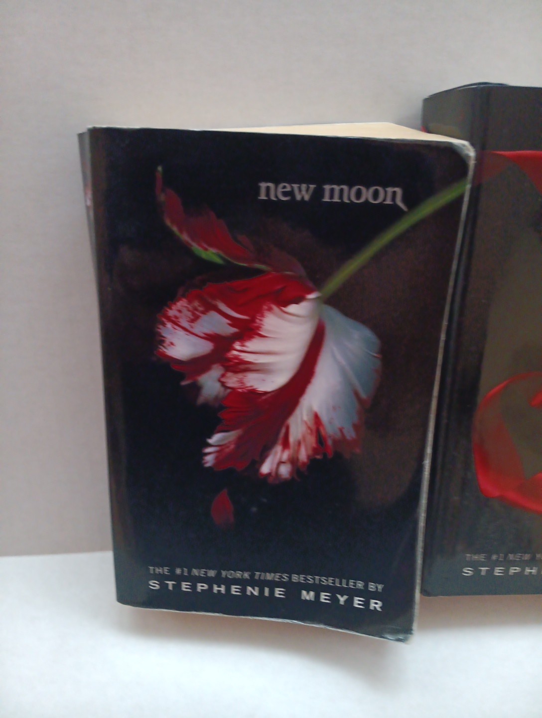 stephenie meyer books