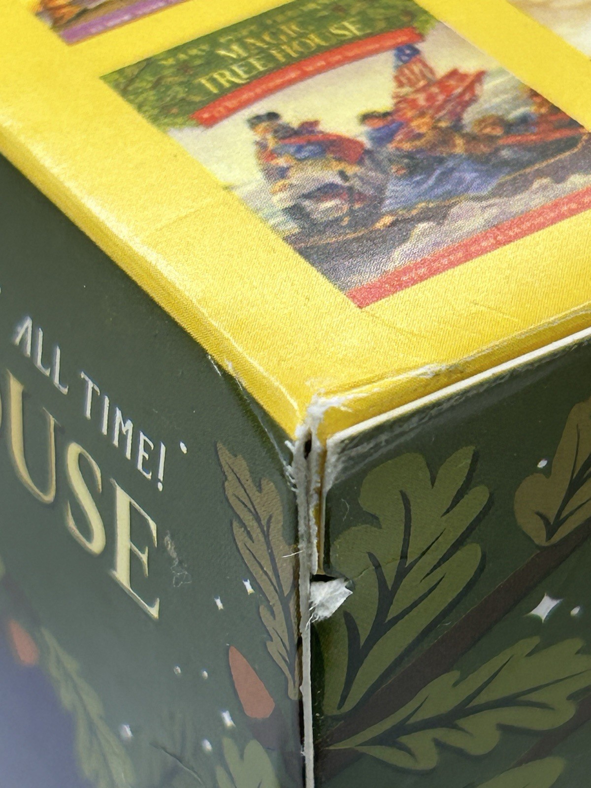 Magic Tree House Books 1-28 Boxed Set by Mary Pope Osborne (2008) English