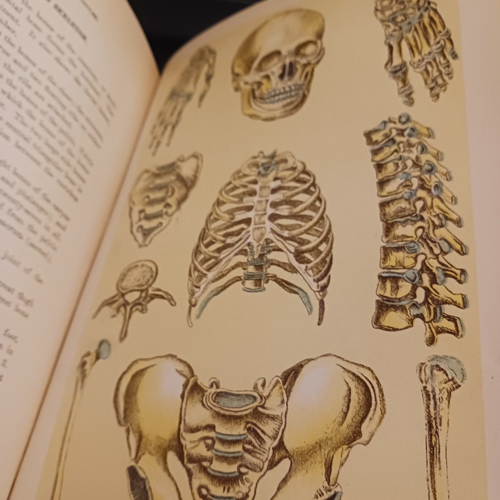 Antique Library of Health Medical Book, 1925 with Color Plates, Some Interactive