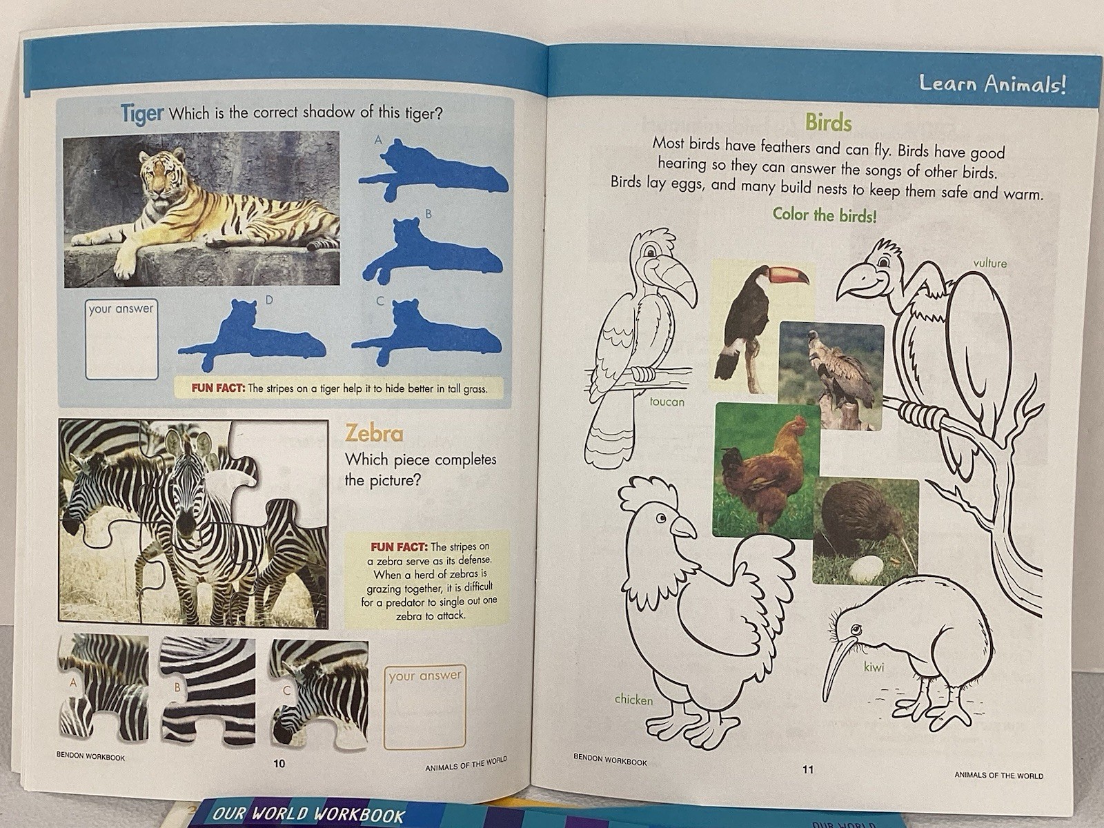 Our Amazing World & Math Learning Workbooks 32 Pages Grades 2-3 Lot Educational