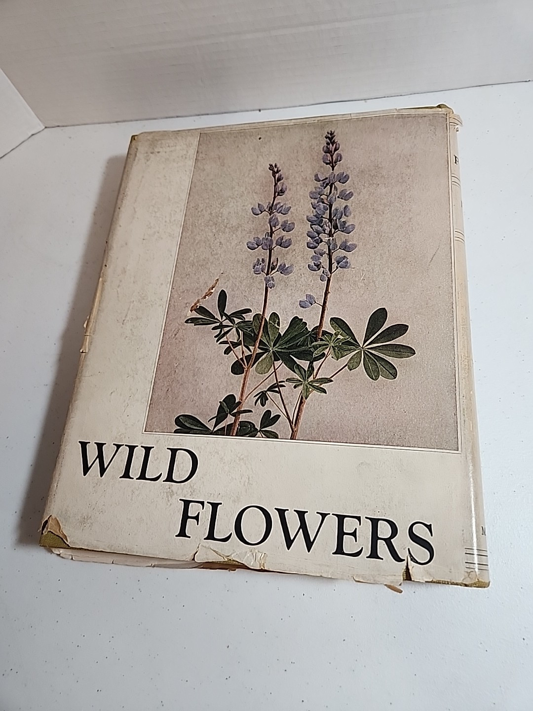 Wild Flowers by Homer D. House 1935 The Macmillan Company with dust jacket!