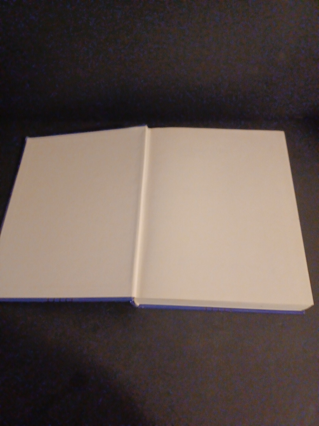 Networking by Jeffrey S. Beasley (2003, Hardcover)