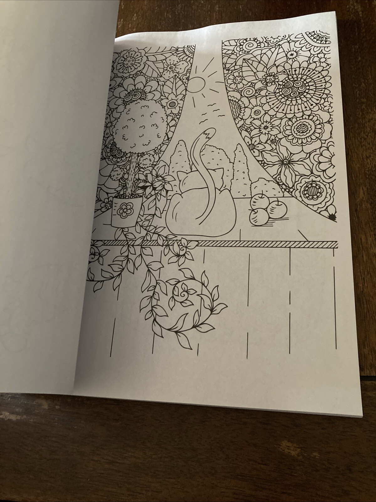 Coloring Cats • Volume 18 • Issue 299 New !