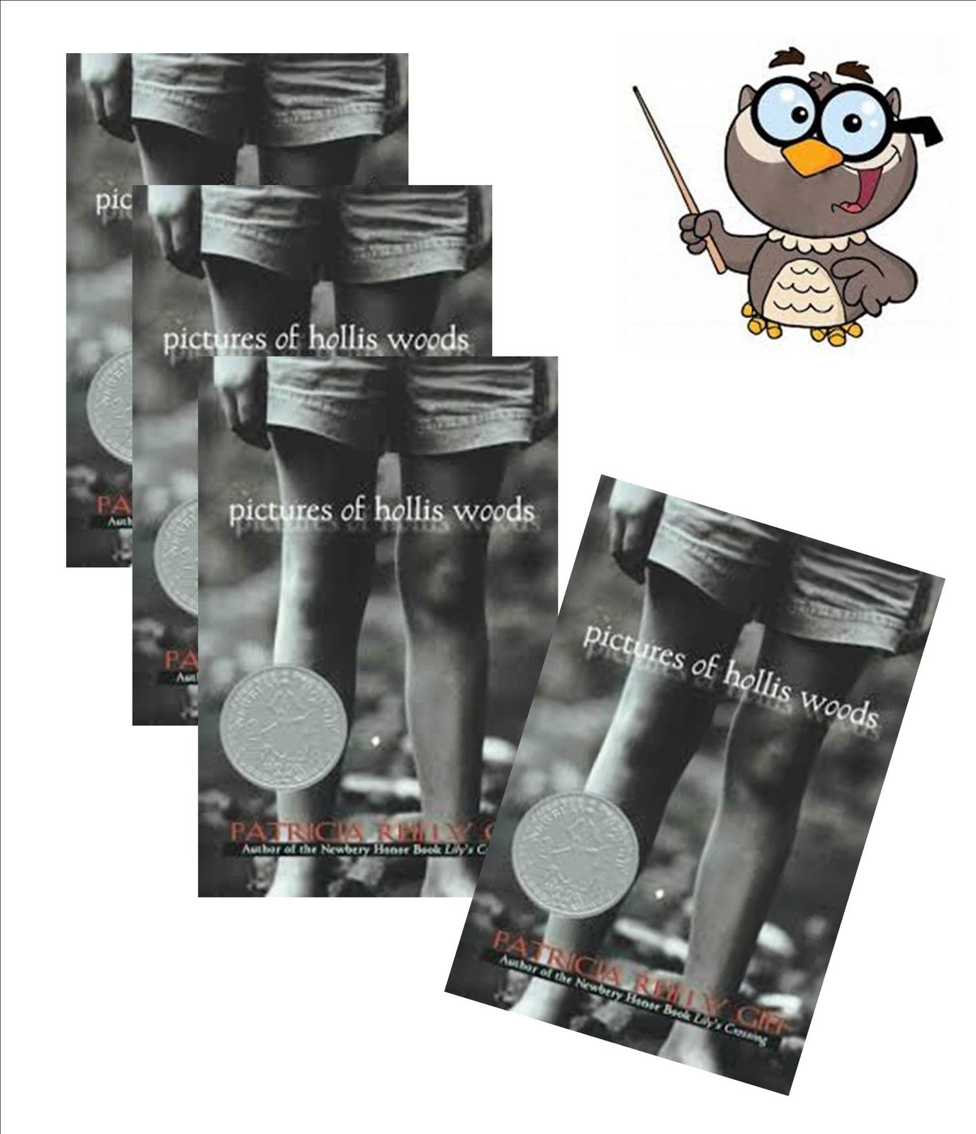 Guided Reading Books (6) : Picture of Hollis Woods (Guided Reading Set)