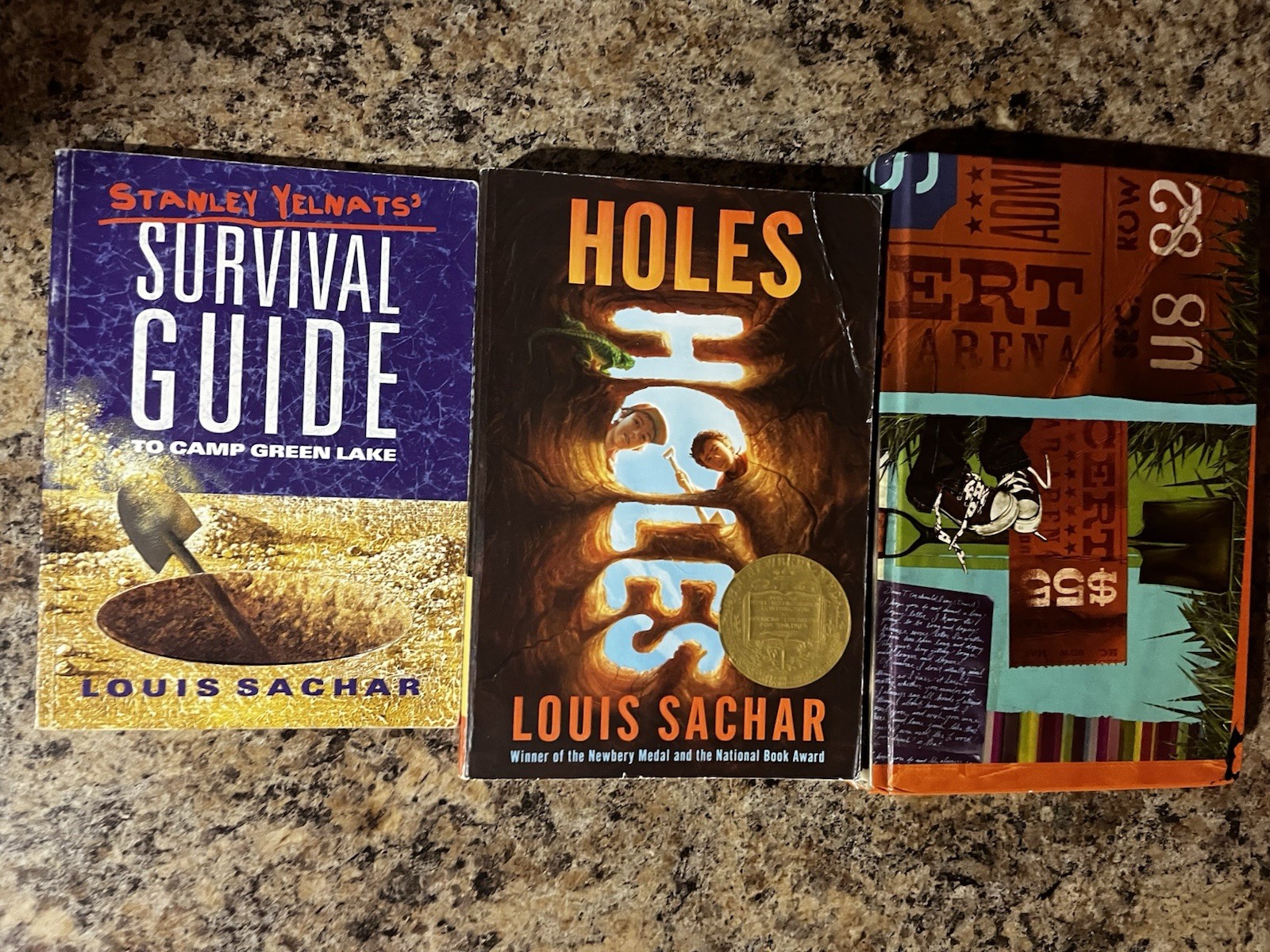 3 Book Lot Louis Sachar Holes Small Steps Stanley Yelnat’s Guide Camp