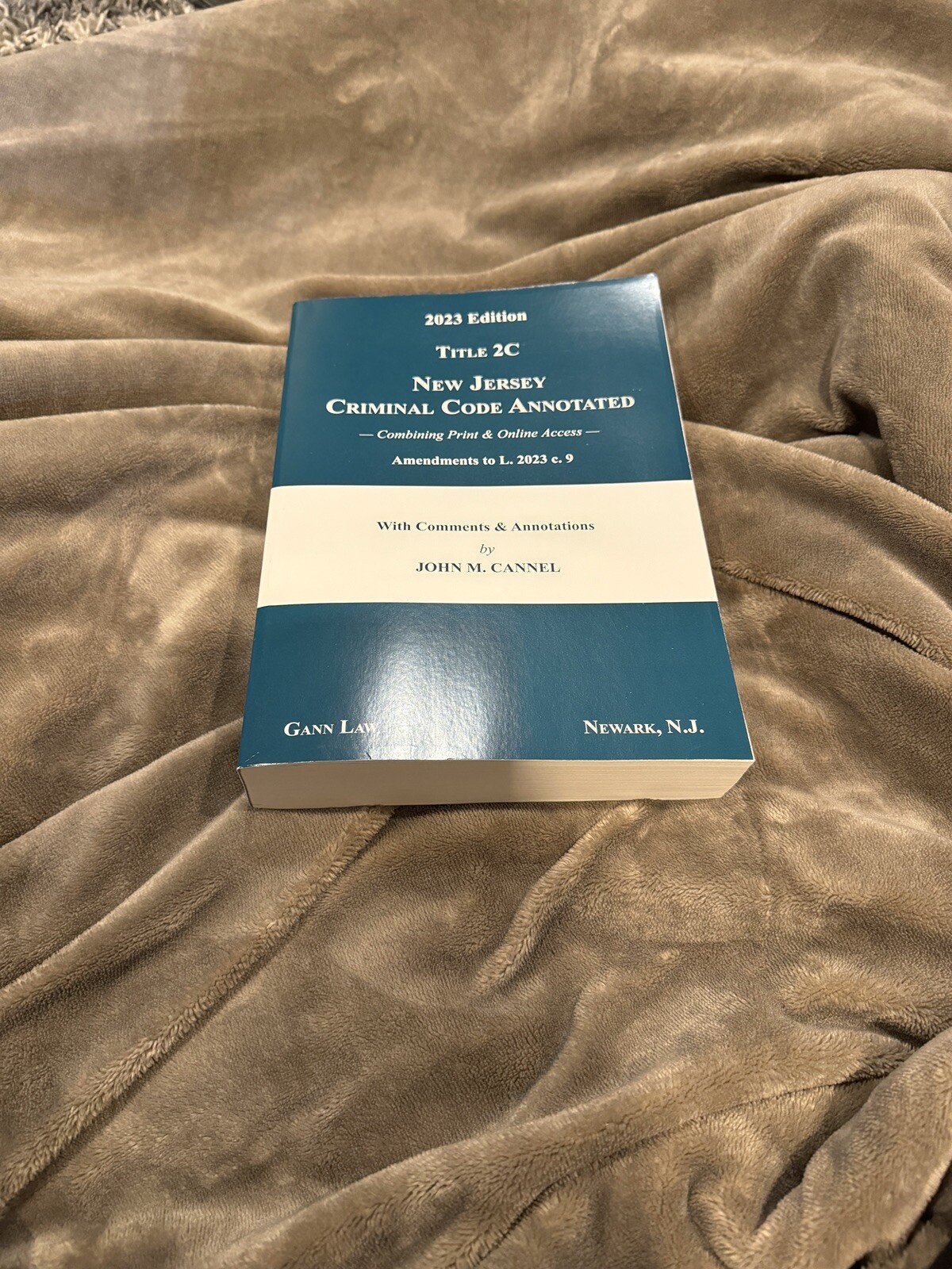 New Jersey Criminal code annotated 2023 Gann Law books