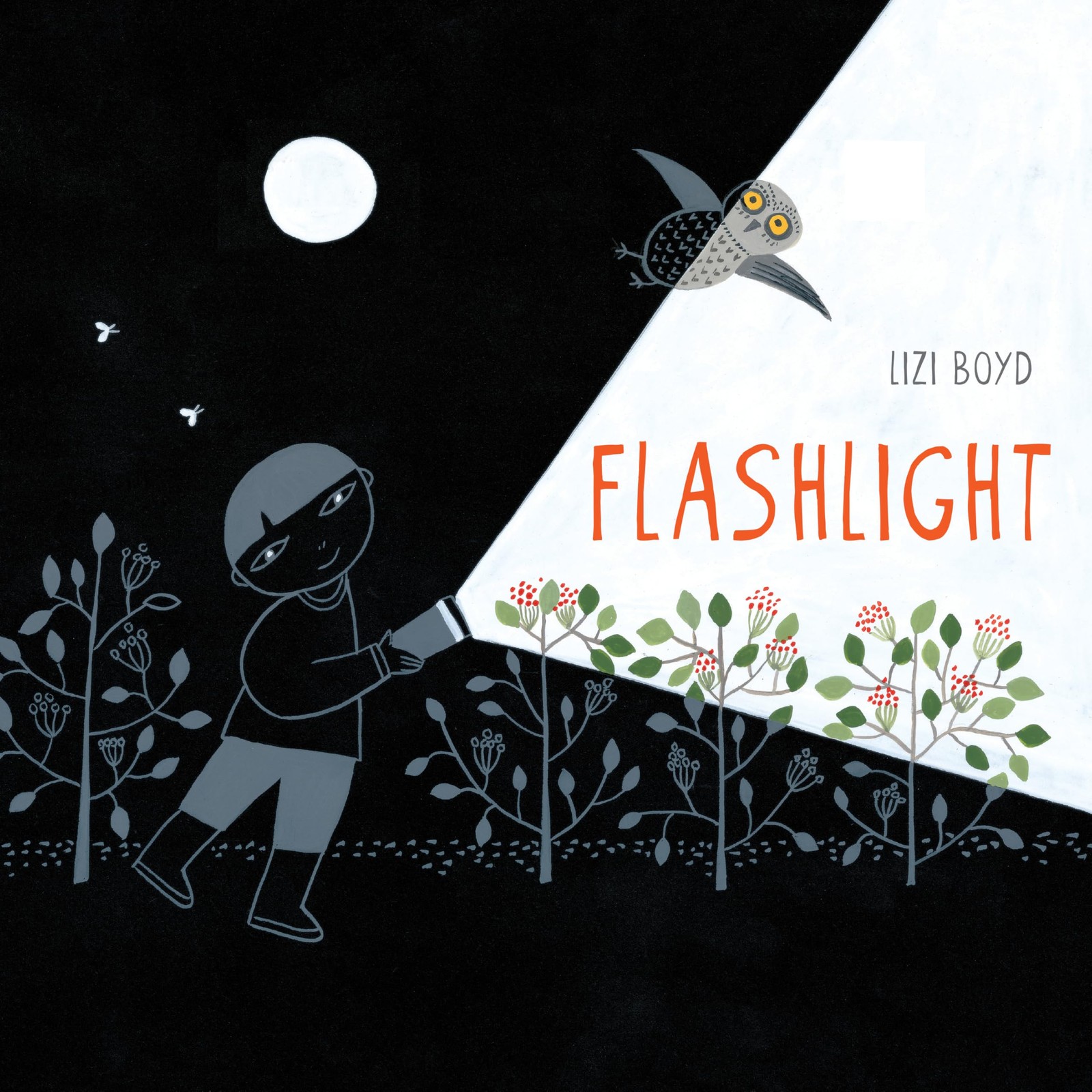 Flashlight: (Picture Books, Wordless Books for Kids, Camping Books for Kids,…