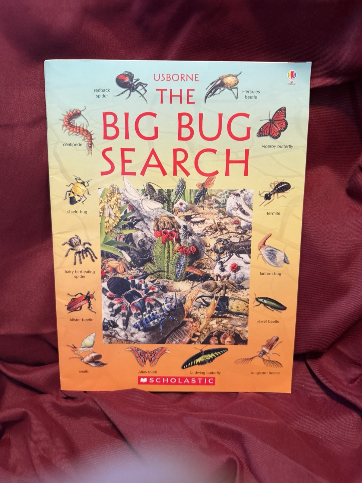 The Big Bug Search – 9780590120760, paperback, Usborne Publishing Ltd