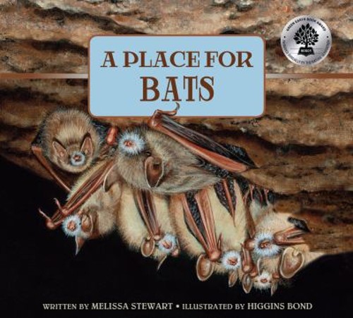 A Place for Bats Picture Book Melissa Stewart