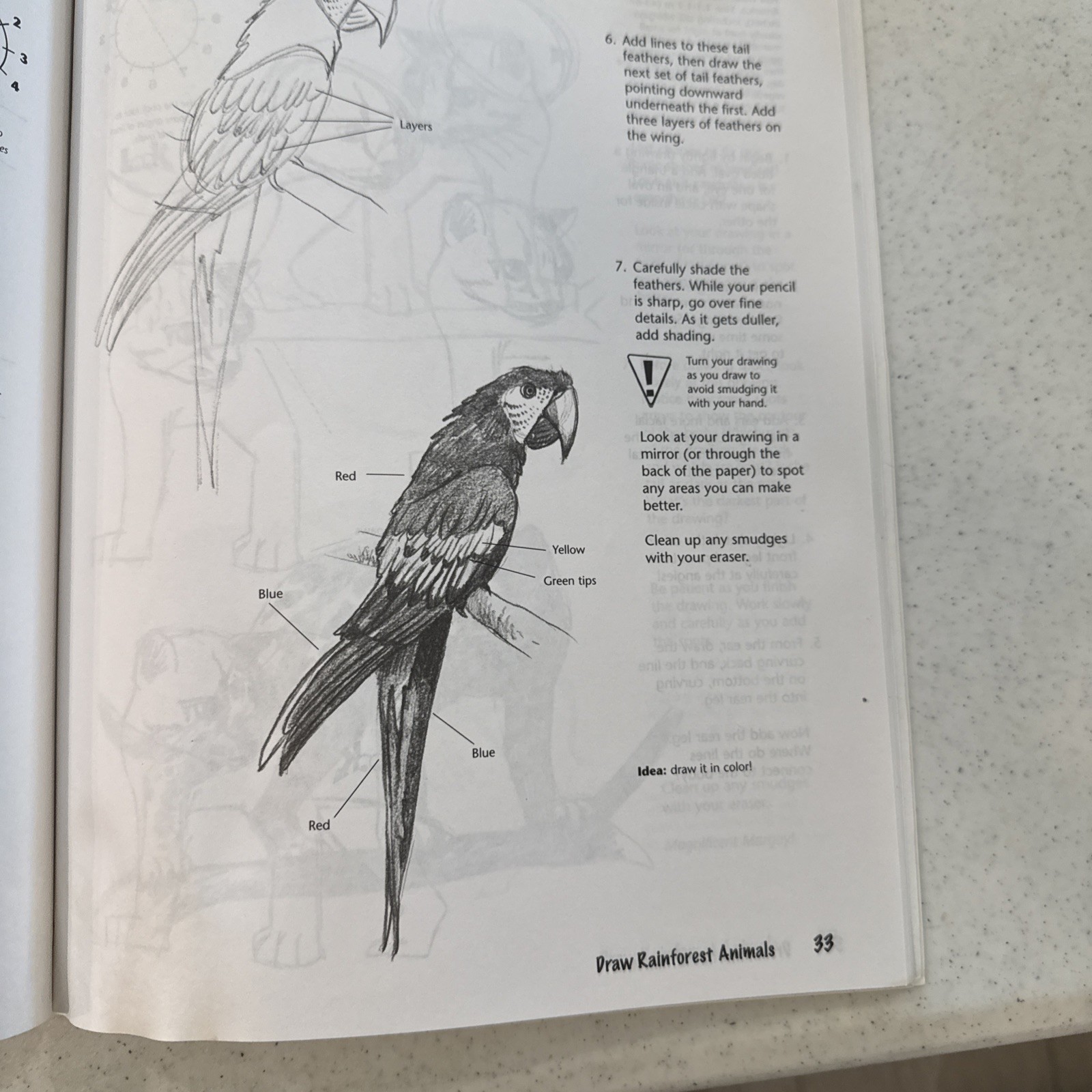 Draw Rainforest Animals Dubosque Doug