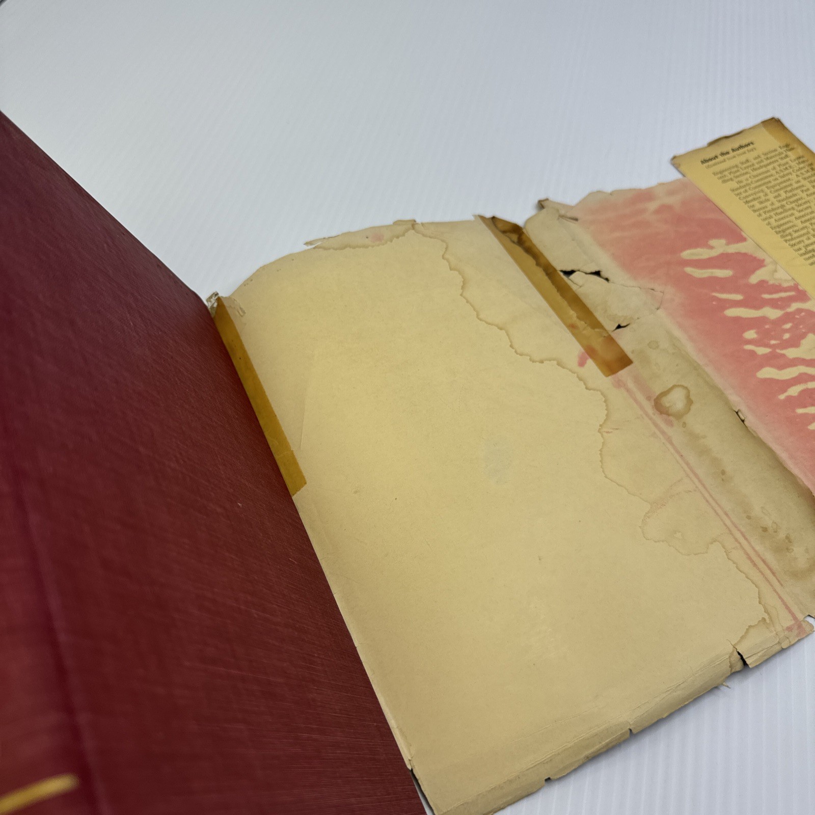 Engineering Science Plant Layout Planning and Practice Mallick & Gaudreau 1951