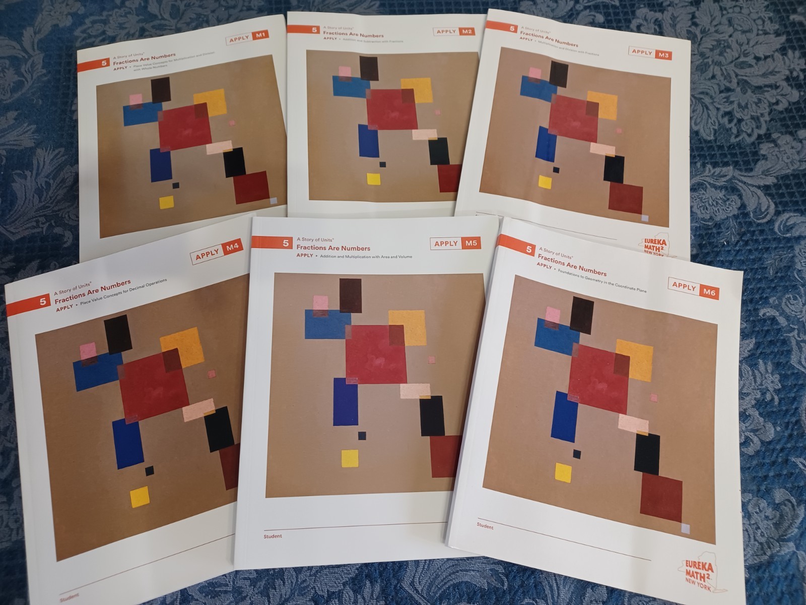 Eureka Math Squared Grade 5 Fractions Modules 1-6 New Workbooks Set Homeschool