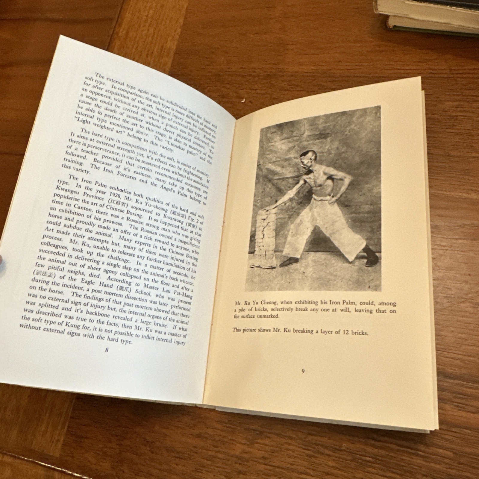 1968 1st EDITION IRON PALM IN 100 DAYS BY LEE YING-ARNG KUNG FU KARATE