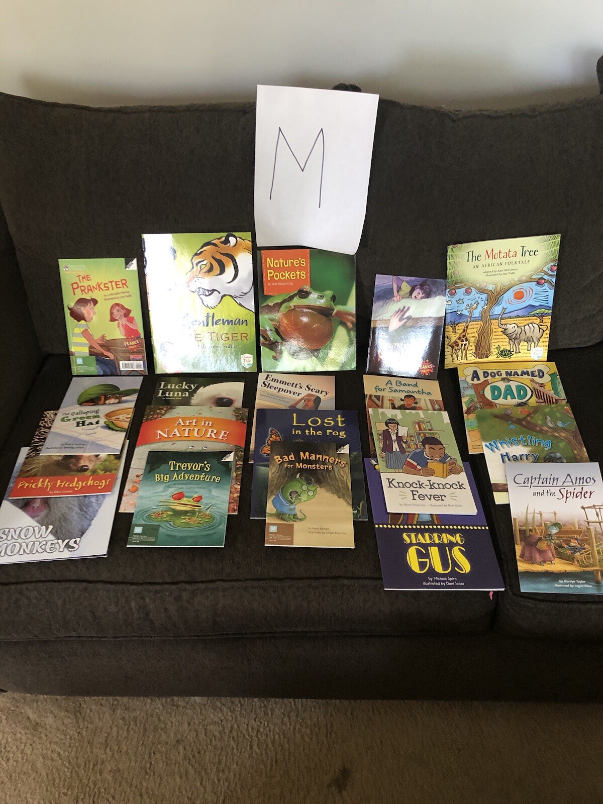 10 Books $15. Second Grade Reading Level TEACHER/SCHOOL LITERACY Free Ship