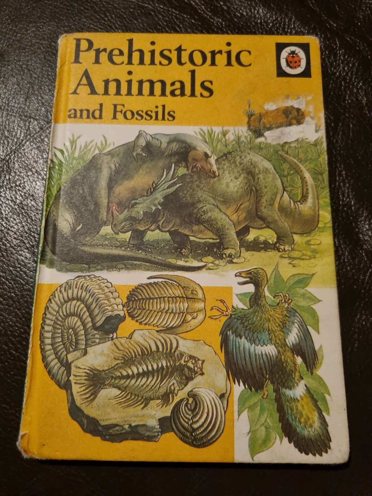Ladybird book Series 651 Prehistoric Animals And Fossils Robert Ayton