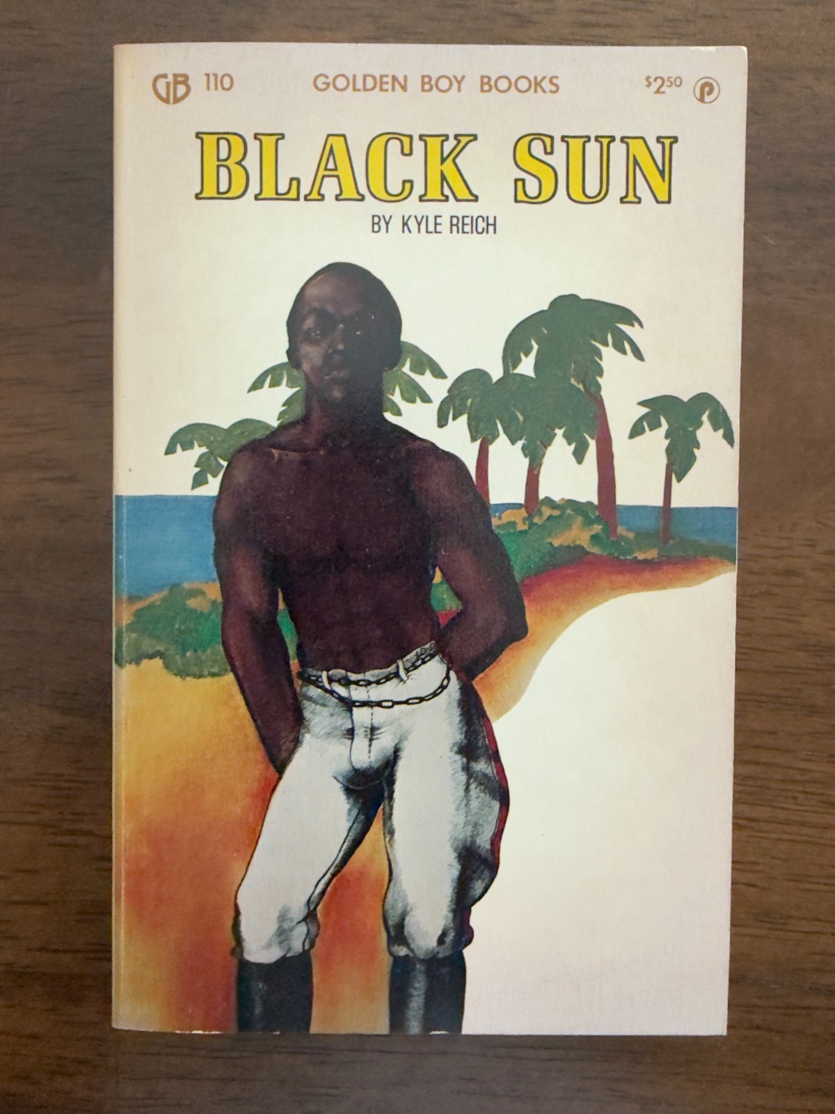 BLACK SUN by Kyle Reich, Arena Pub 1978 Gay Pulp Paperback, Golden Boy Books, VG