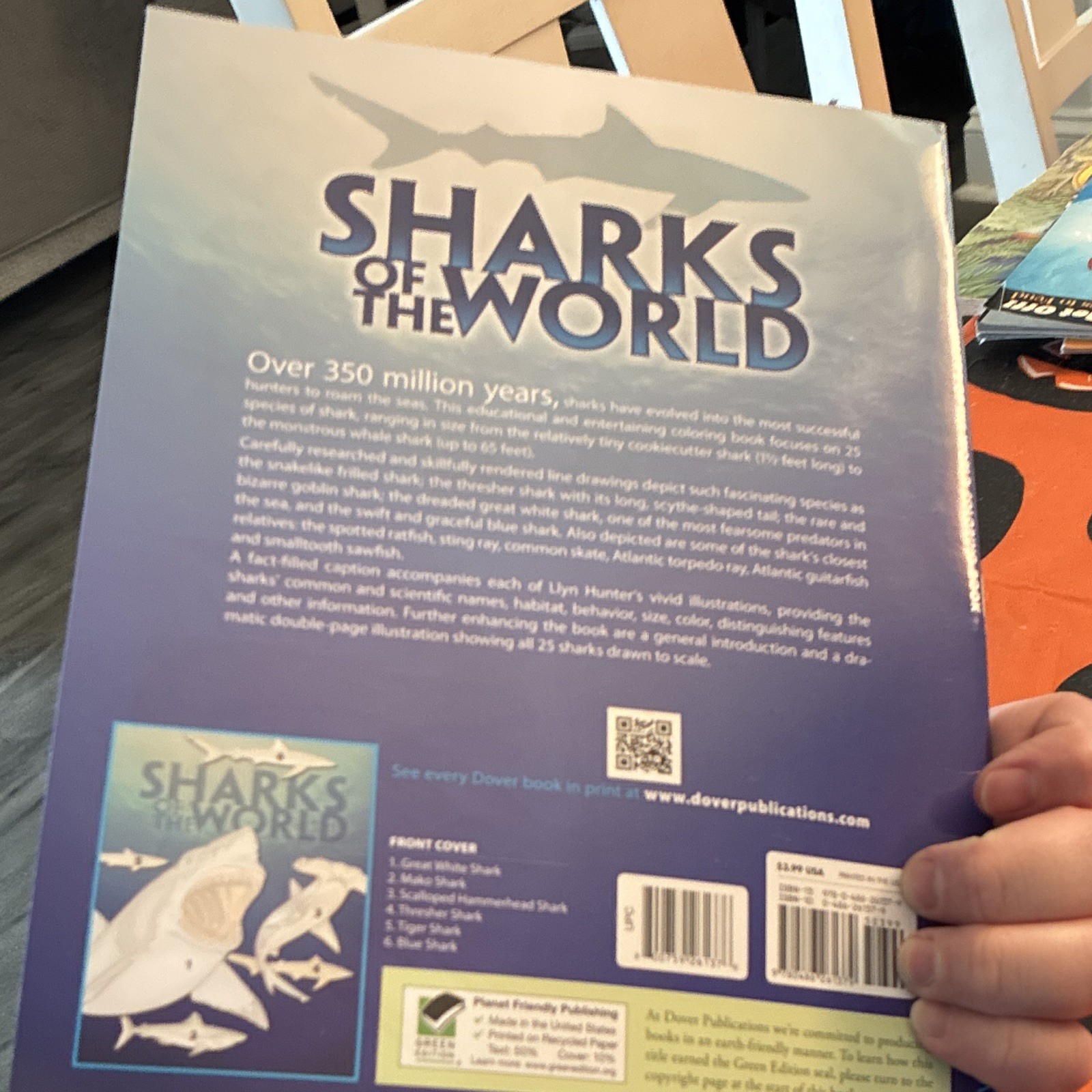 Dover Publications Sharks of the World Paperback Coloring Book by Llyn Hunter