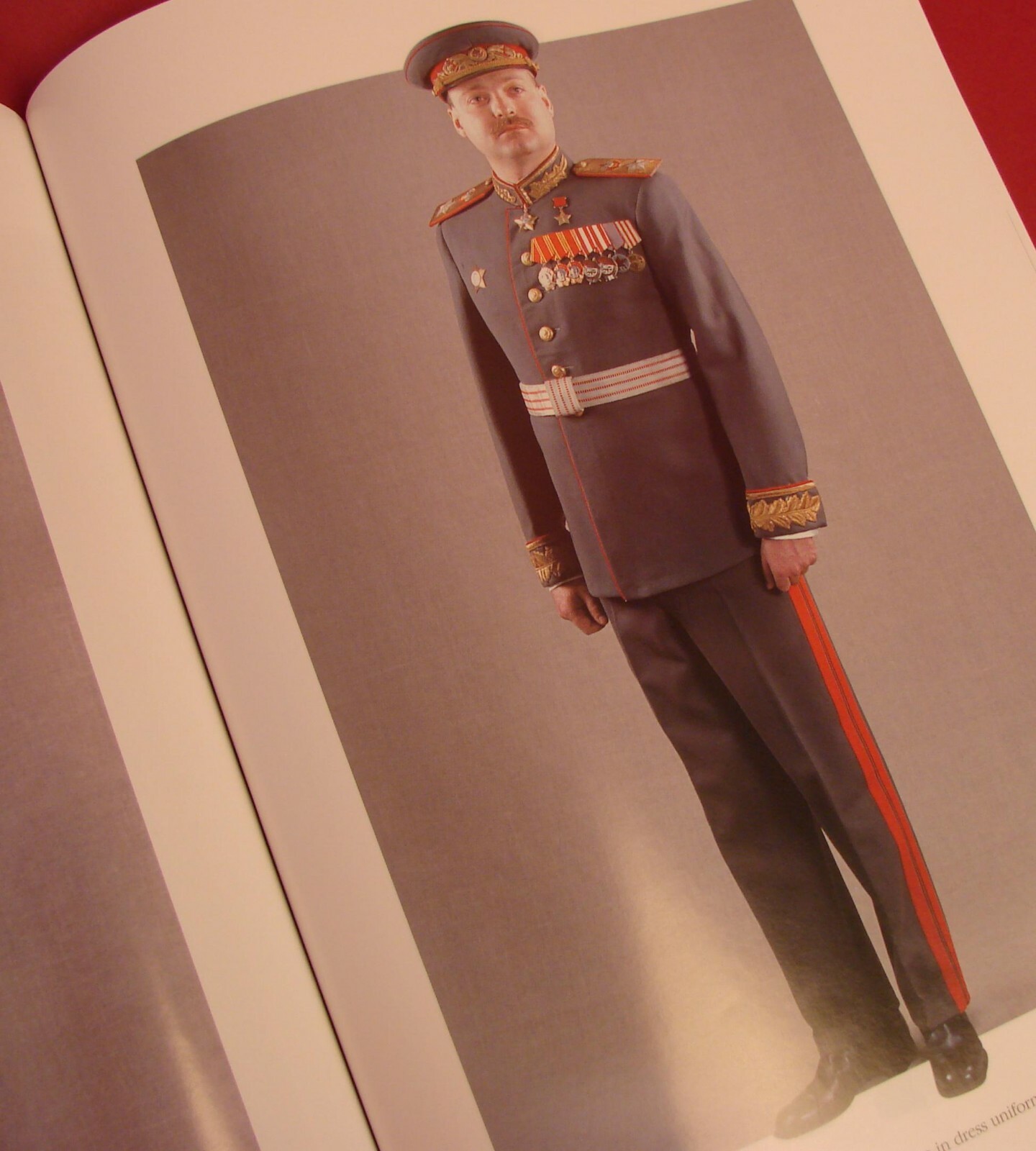 WW2 Soviet Russian RED ARMY UNIFORMS 1918-45 COLOR Photo BOOK Shalito EnglishTxt