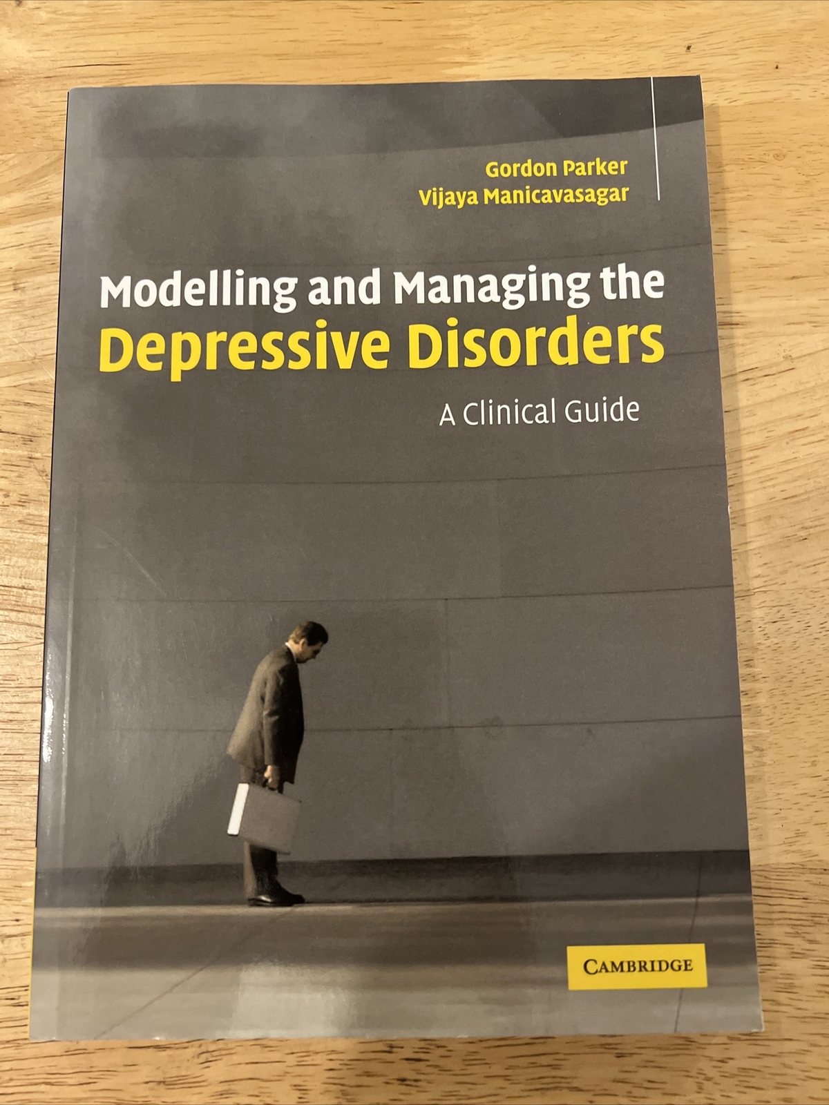 Modelling And Managing the Depressive Disorders : A Clinical Guide, Paperback.