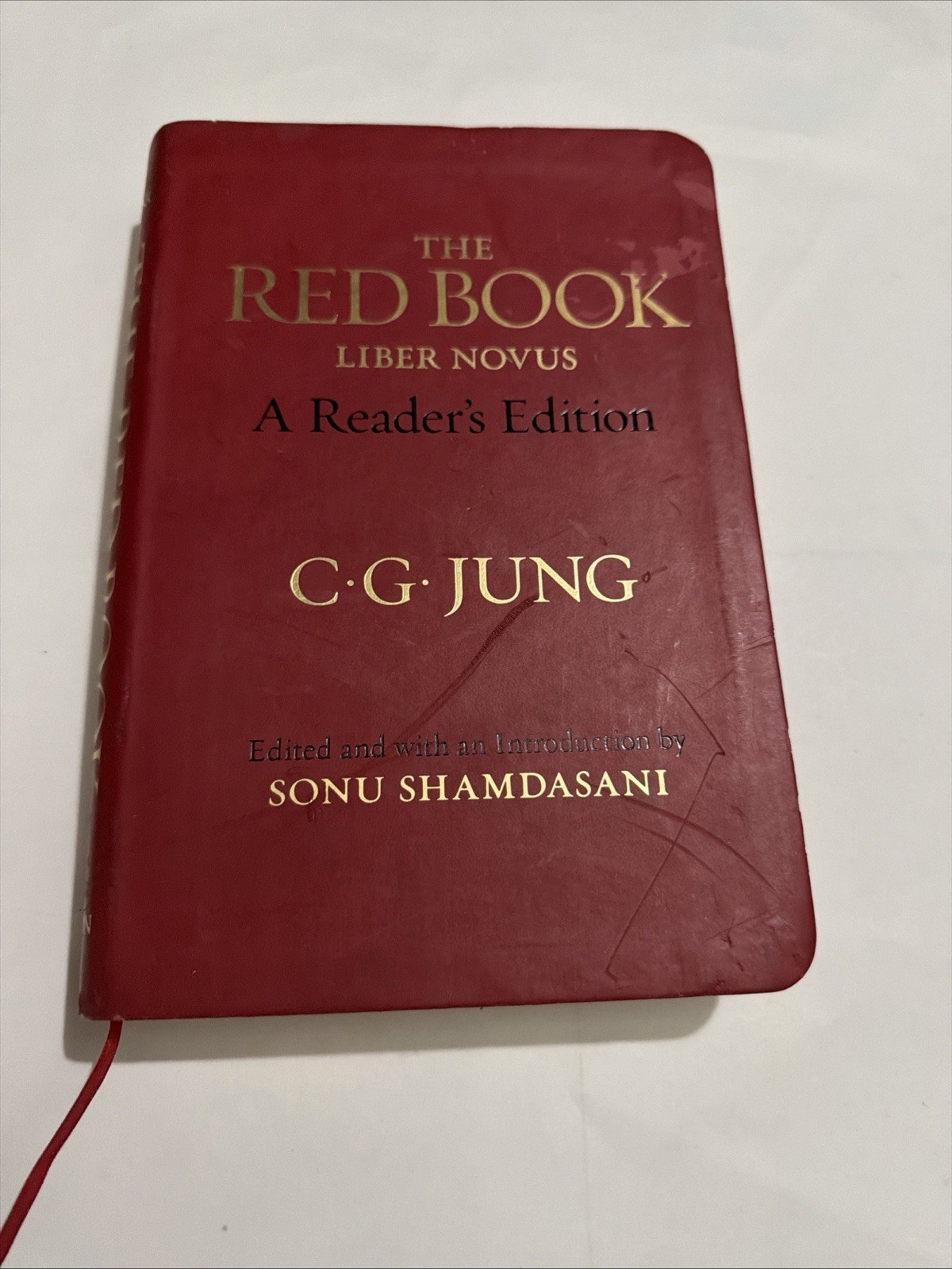 The Red Book Liber Novus English Reader’s Edition by Carl Gustav Jung New PB 11A