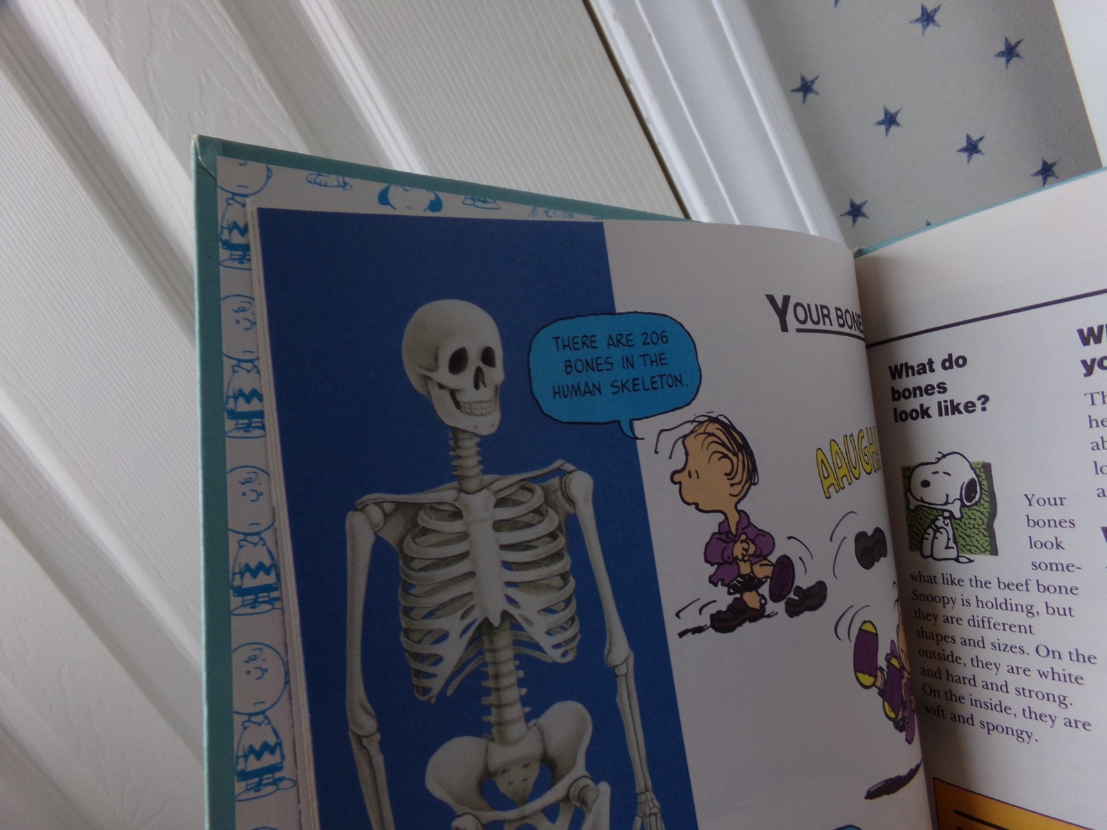 Vol #1 Charlie Brown’s ‘Cyclopedia Book Your Amazing Body From Your Nose to Toes