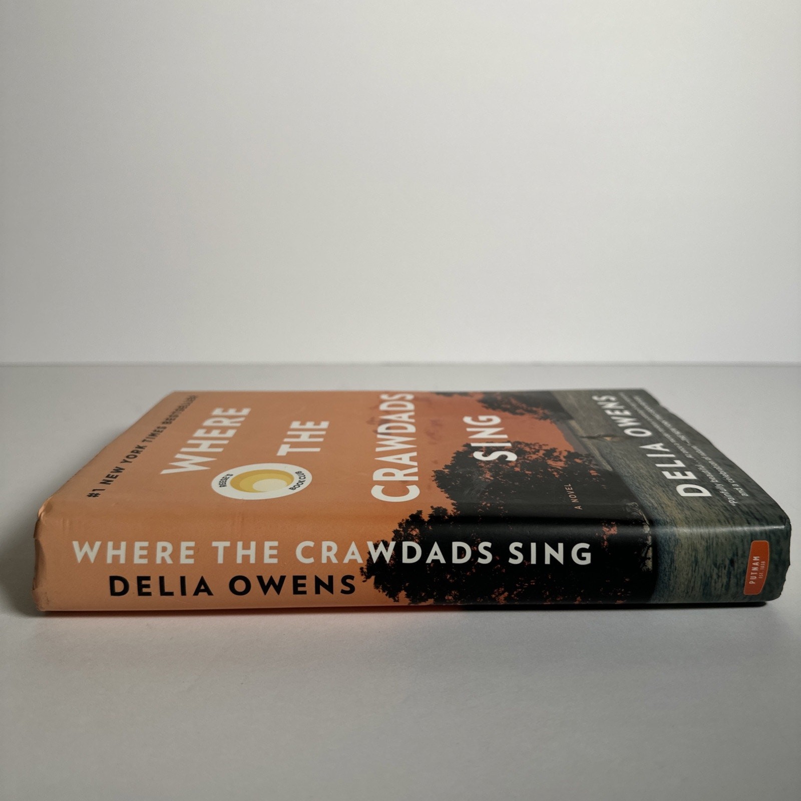 Where the Crawdads Sing – Hardcover By Owens, Delia – GOOD
