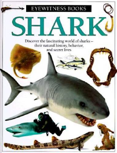 Shark (Eyewitness Books) – Hardcover By Macquitty, Miranda – GOOD