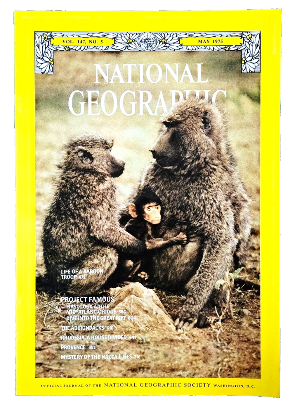 Life Of A Baboon Troop, Project Famous – May 1975 National Geographic Magazine