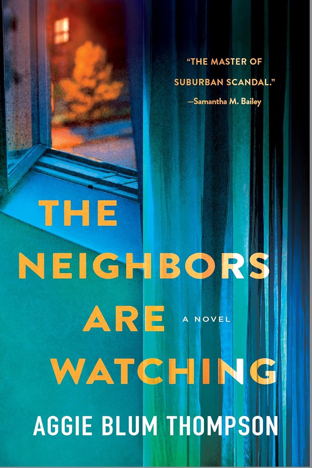 The Neighbors Are Watching Paperback by Aggie Blum Thompson