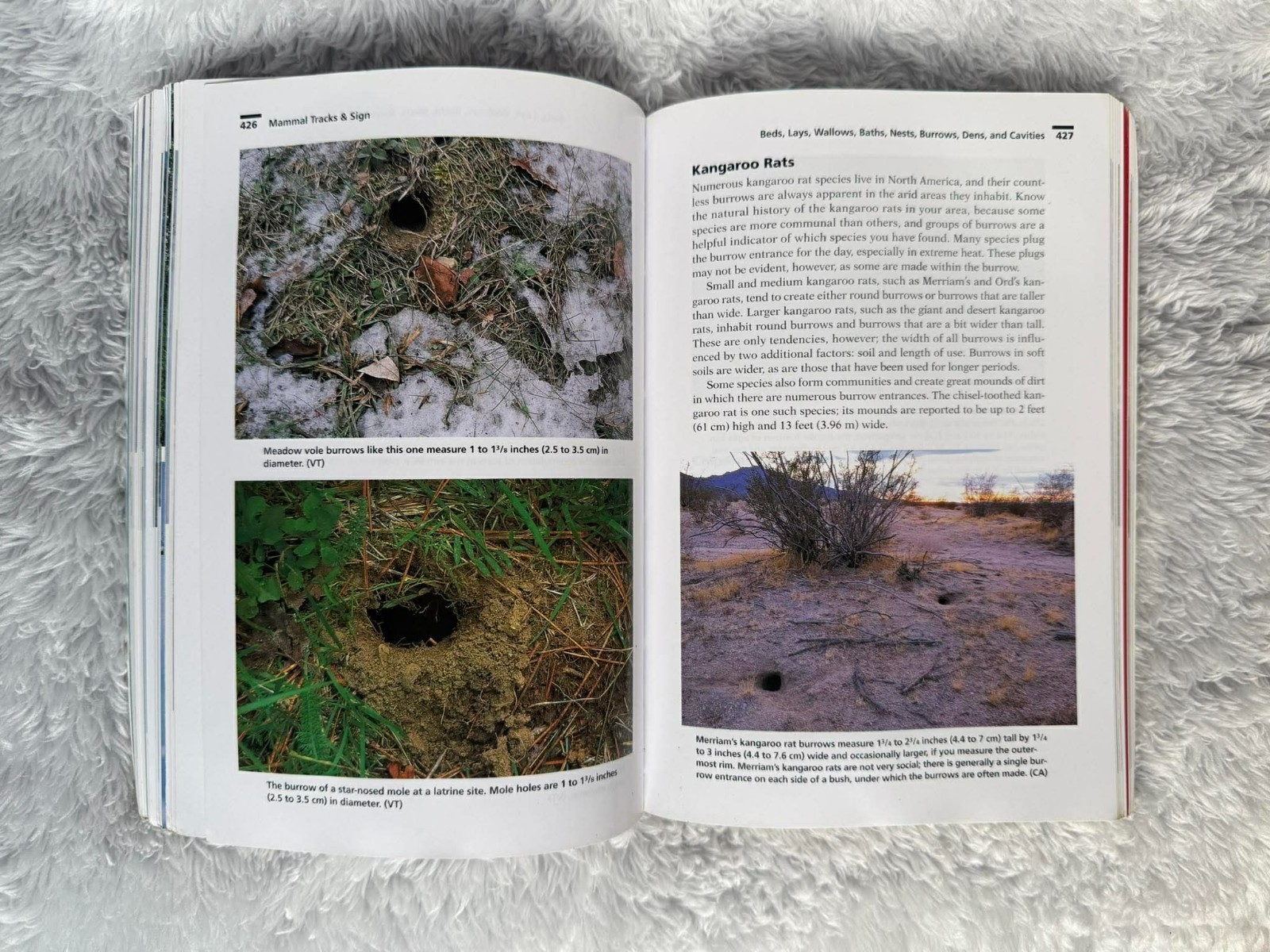 Mammal Tracks & Sign A Guide to North American Species 9780811726269