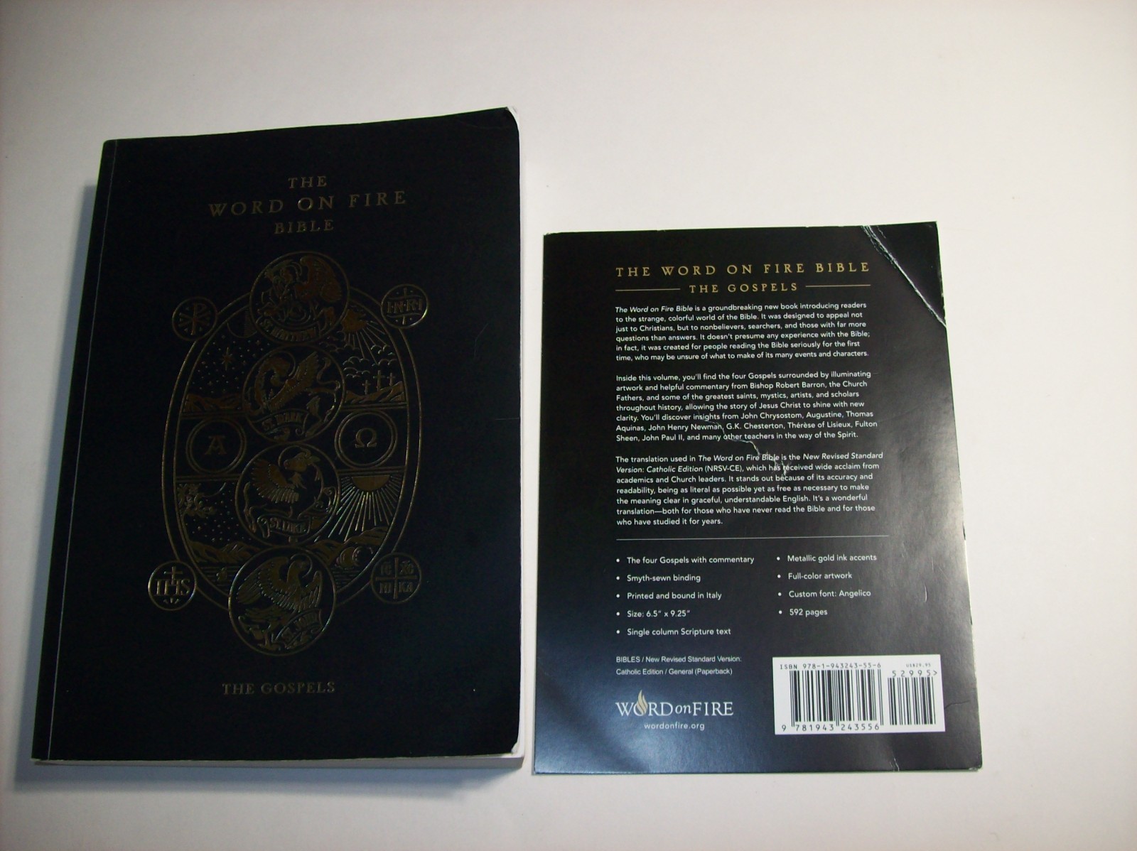 The Word on Fire Bible (Volume I): The Gospels, x